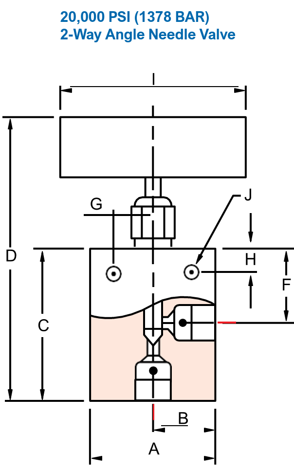 2-Way Angle Needle Valve
