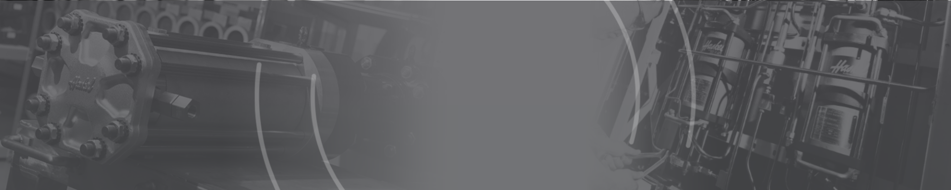 Banner Haskel