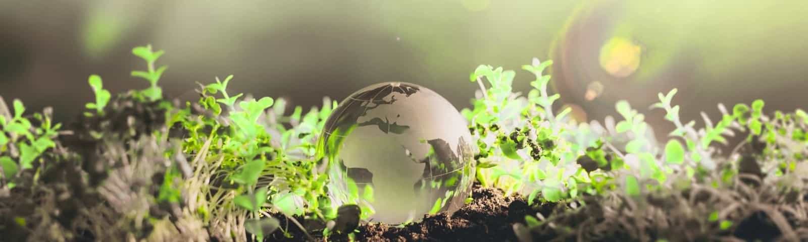 Clean Energy Header Image