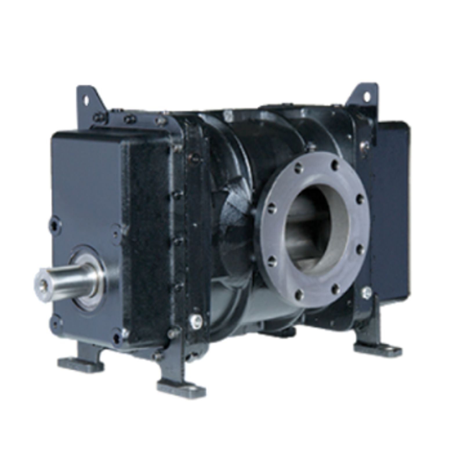NX bareshaft positive displacment blower used for low pressure application for neutral gas