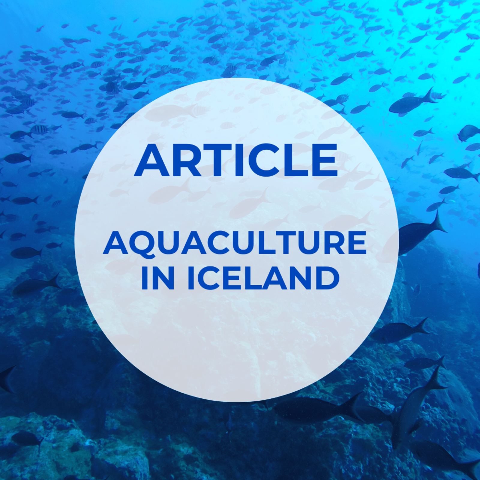 Oxywise Aquaculture in Iceland Article Thumbnail Image.png