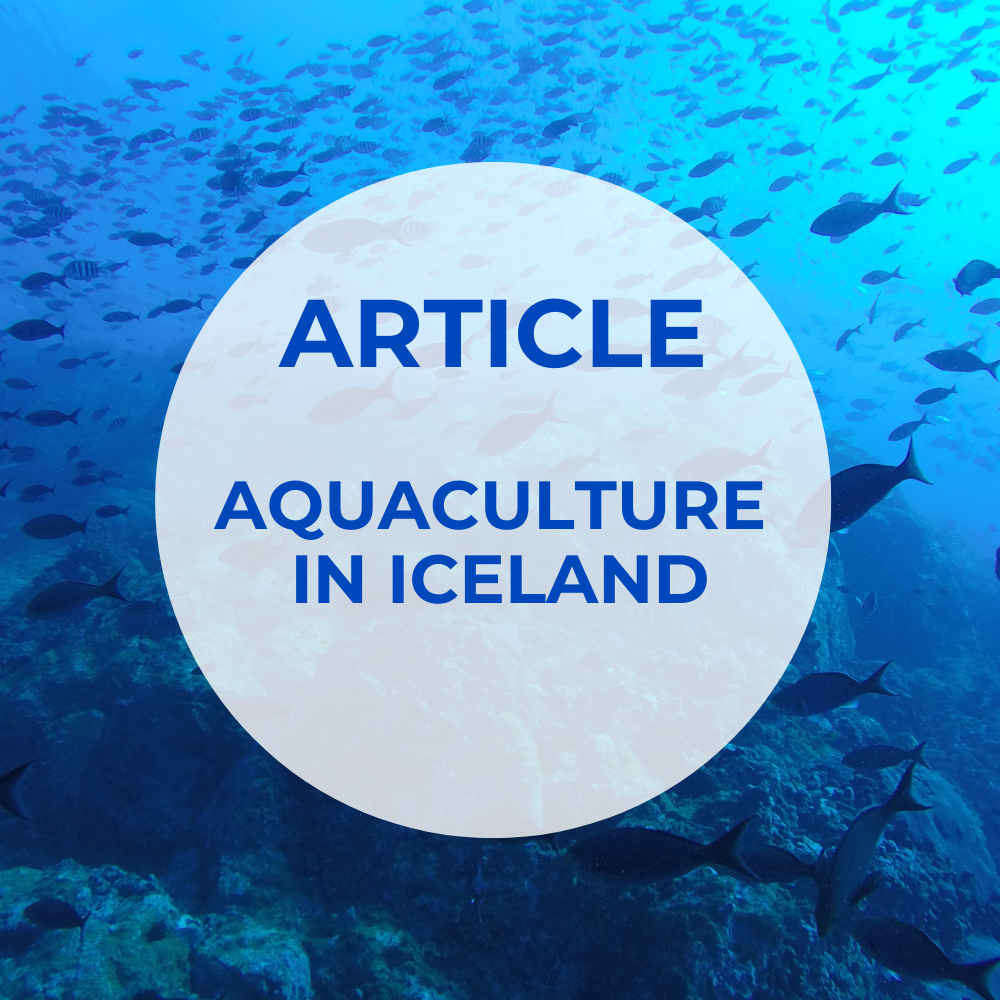 Oxywise Aquaculture in Iceland Article Thumbnail Image.png