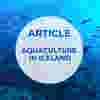 Oxywise Aquaculture in Iceland Article Thumbnail Image.png
