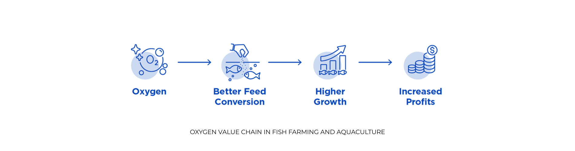 Oxywise Oxygen Value Chain in Fish Farming and Aquaculture