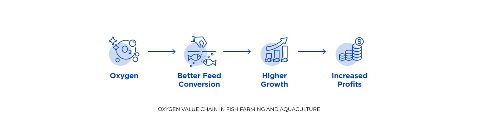 Oxywise Oxygen Value Chain in Fish Farming and Aquaculture