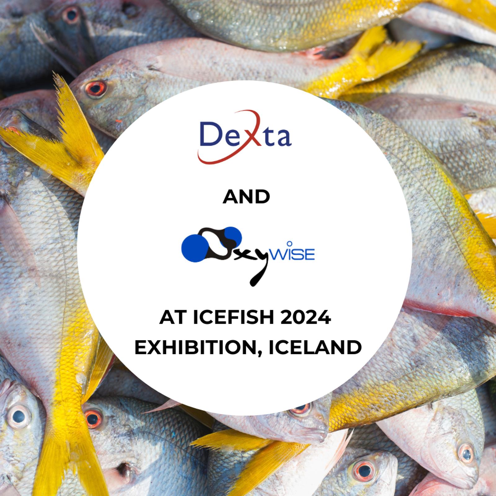 Partnerschaft zwischen Oxywise und Dexta für die Ausstellung IceFish 2024 der Fischzuchtindustrie Vorschaubild