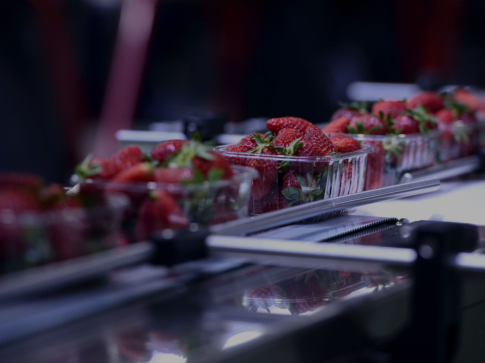 Food banner 