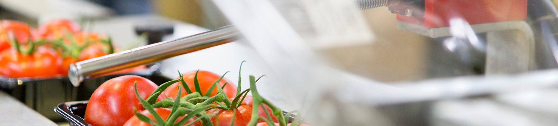 ER_Food_Bev_image