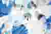 agss banner image