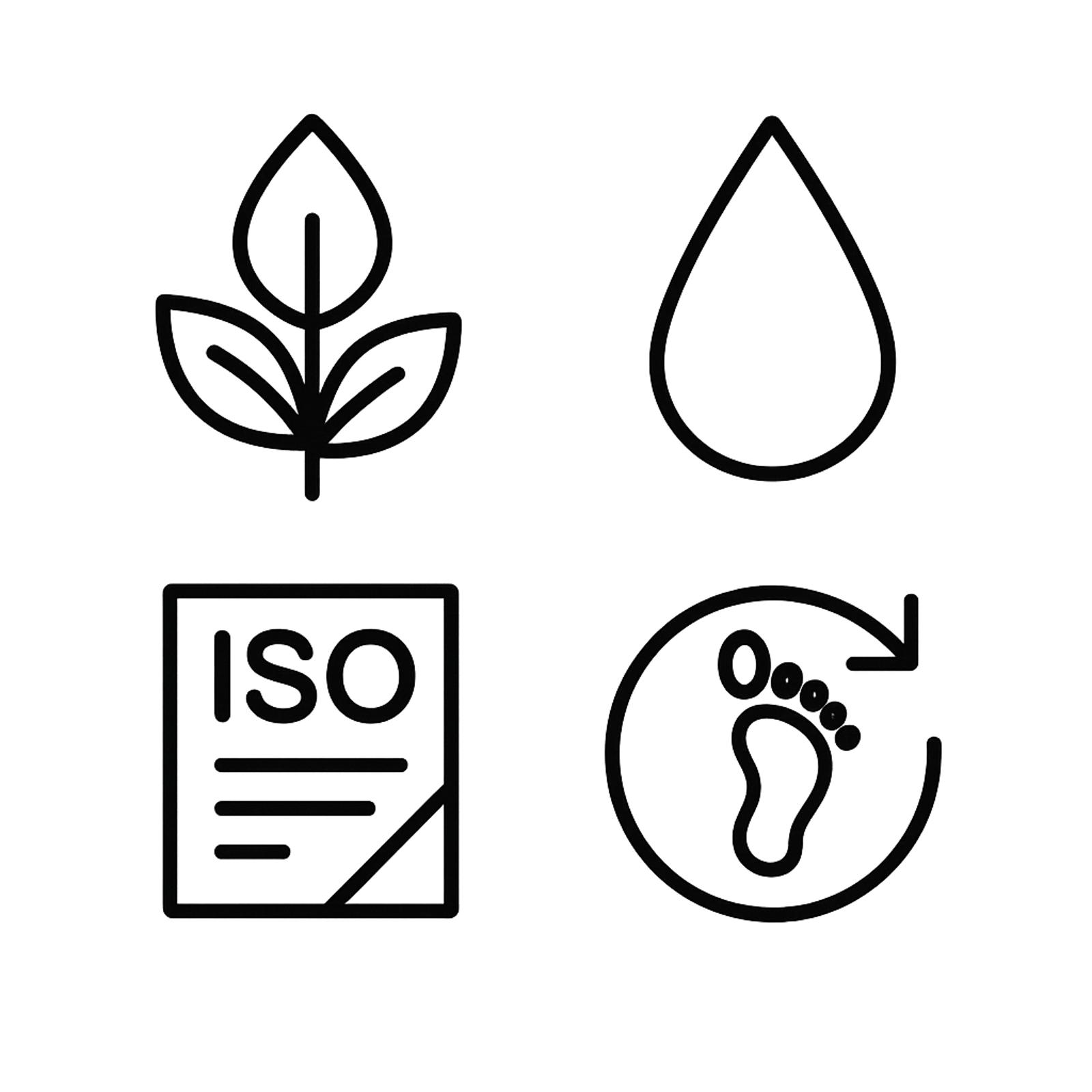 Environmental & Sustainability Angle.png