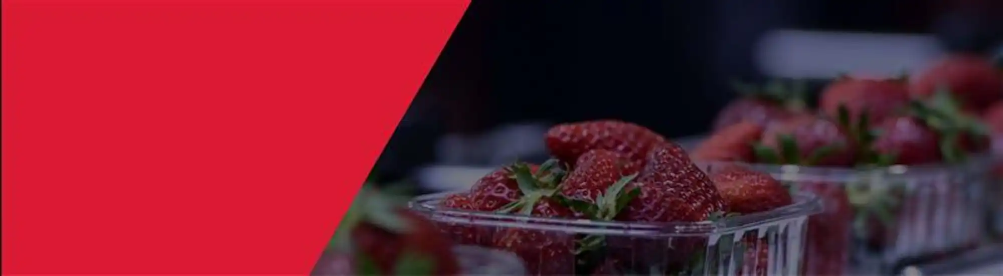 Food_Beverage_Webinar_Banner