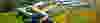 ER_Sustainable_Banner_2