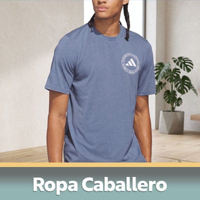 Ropa Caballero