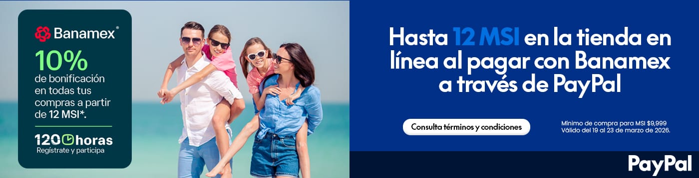 12 MSI Paypal