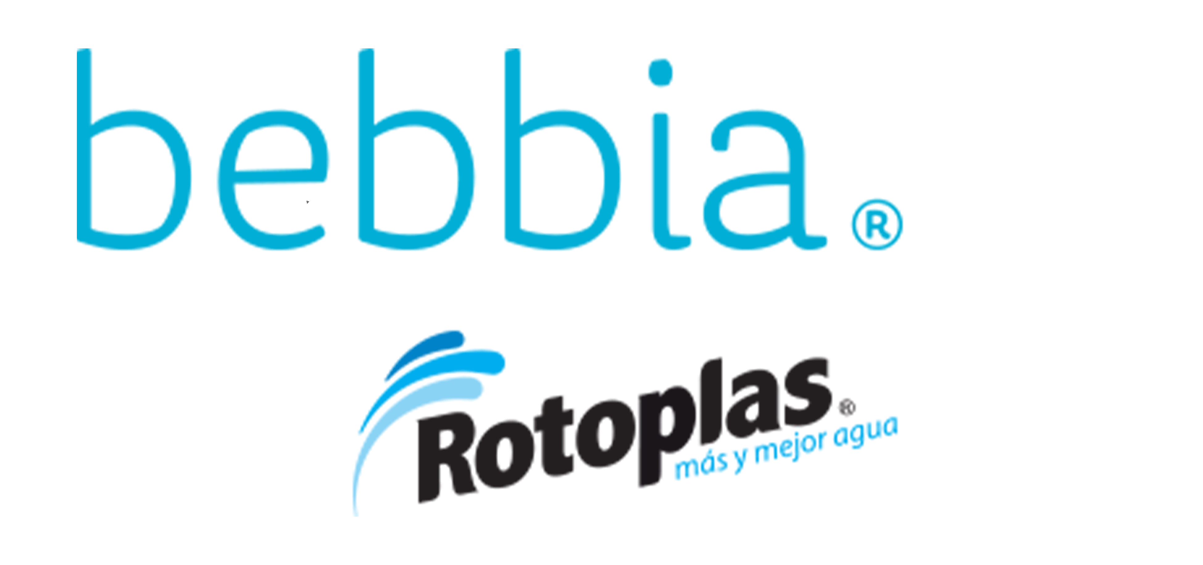 Bebbia