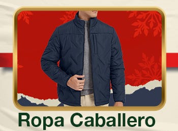 Ropa Caballero