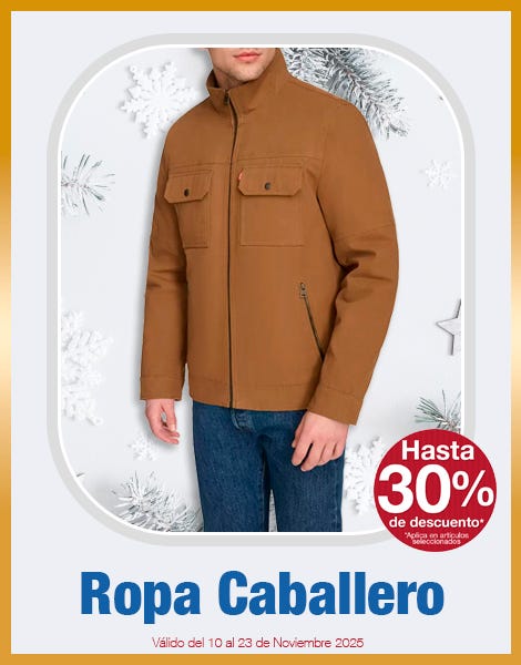 Ropa Caballero