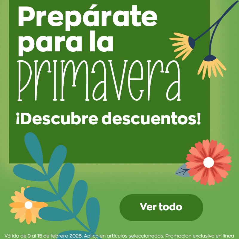 p6w4_fy26_seccion_spring