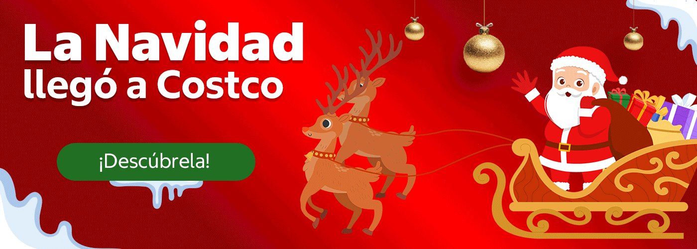 Banner Christmas