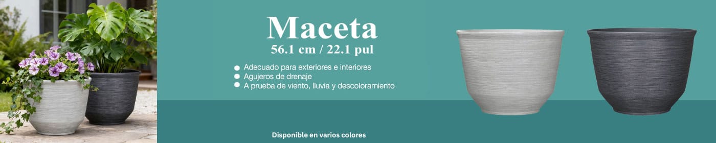 Maceta