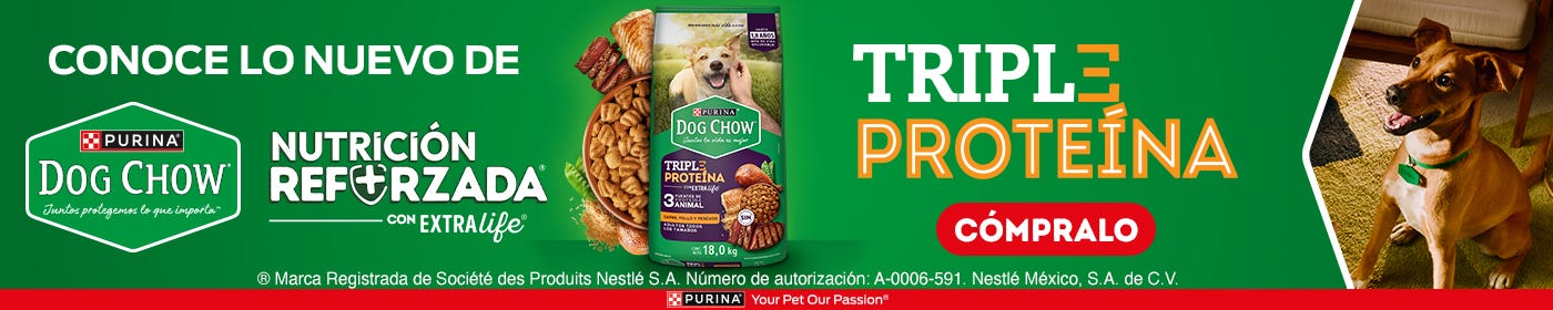 Dog Chow Perro