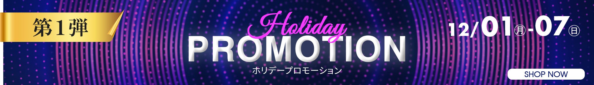 Holiday Promotion