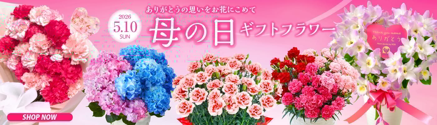 大和農園 母の日フラワーギフト