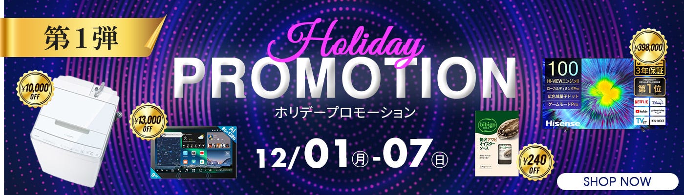 Holiday Promotion