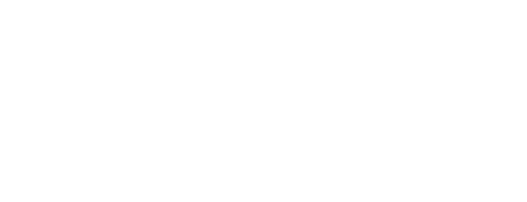 IBS Logo_RGB_WO_Large.png