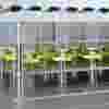sq-01_picture_for_subtile_and_story_1.jpg
