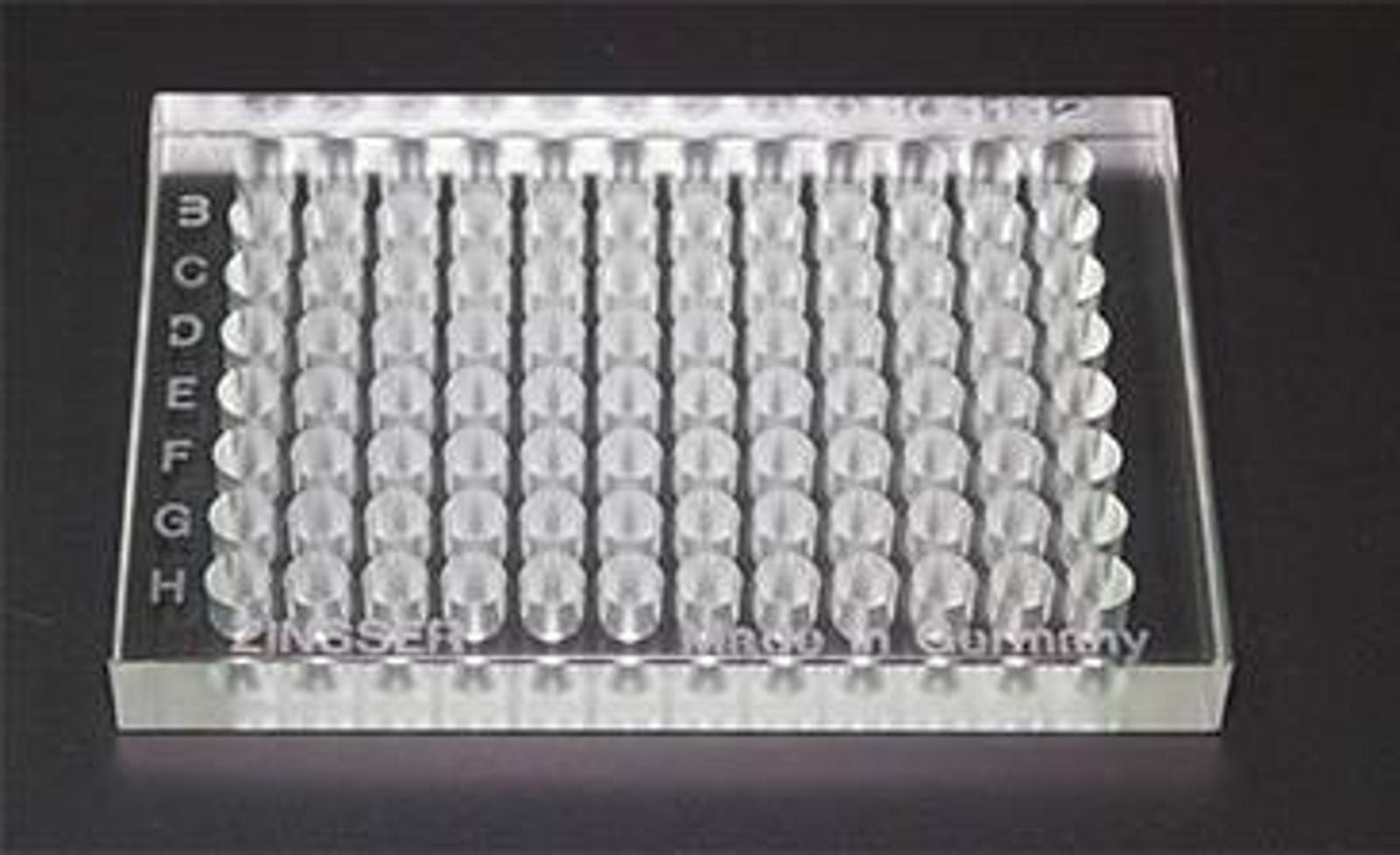 reactor_plates_glass_1.jpg