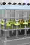 solid phase extraction