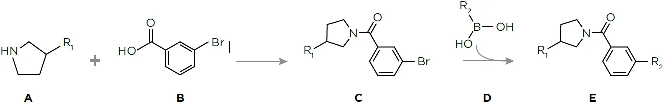 Sample Synthesis picutre 