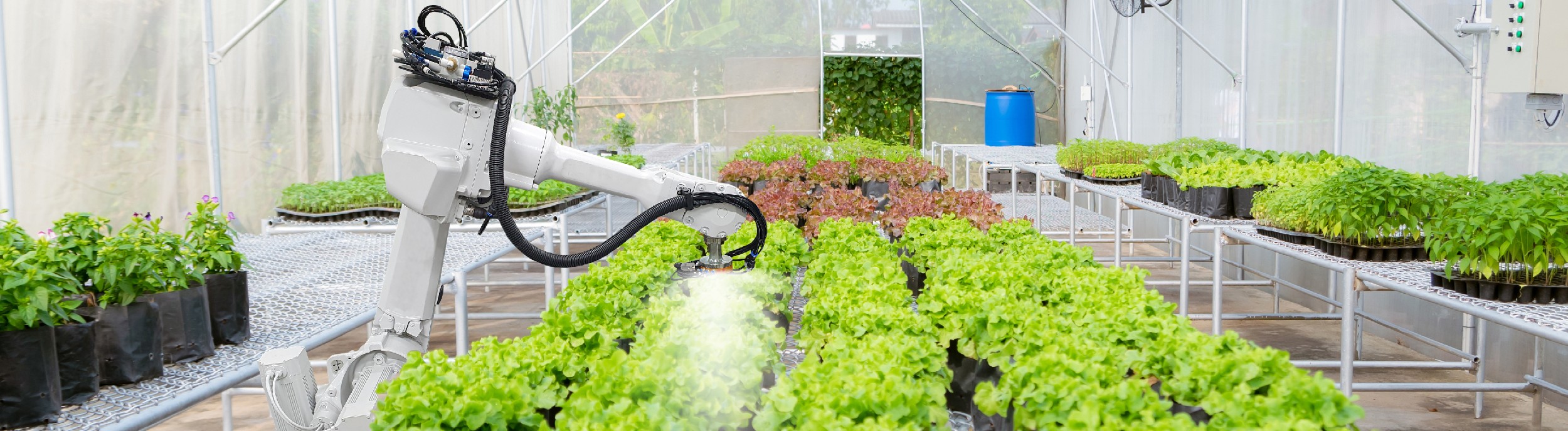 Landwirtschaft