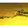 IRP-Product-Photo-OEM-Lubricants.webp
