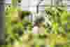 IRP-Industry-Photo-Compressors-for-Labs-Plant-Industry.webp