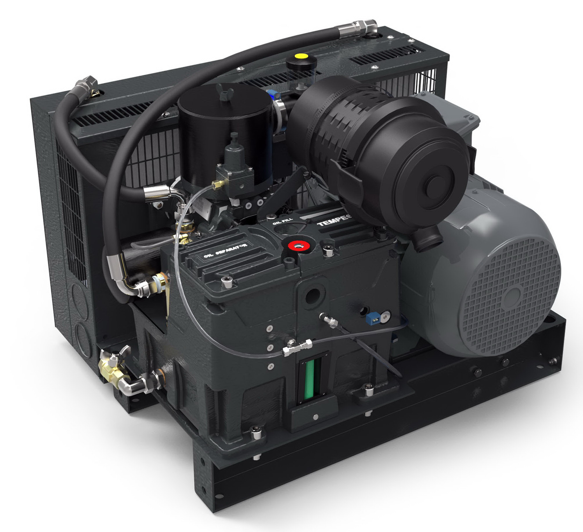 CTN3 (1).jpg
