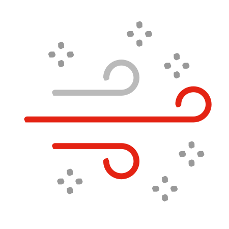 Icon-air-quality-standards