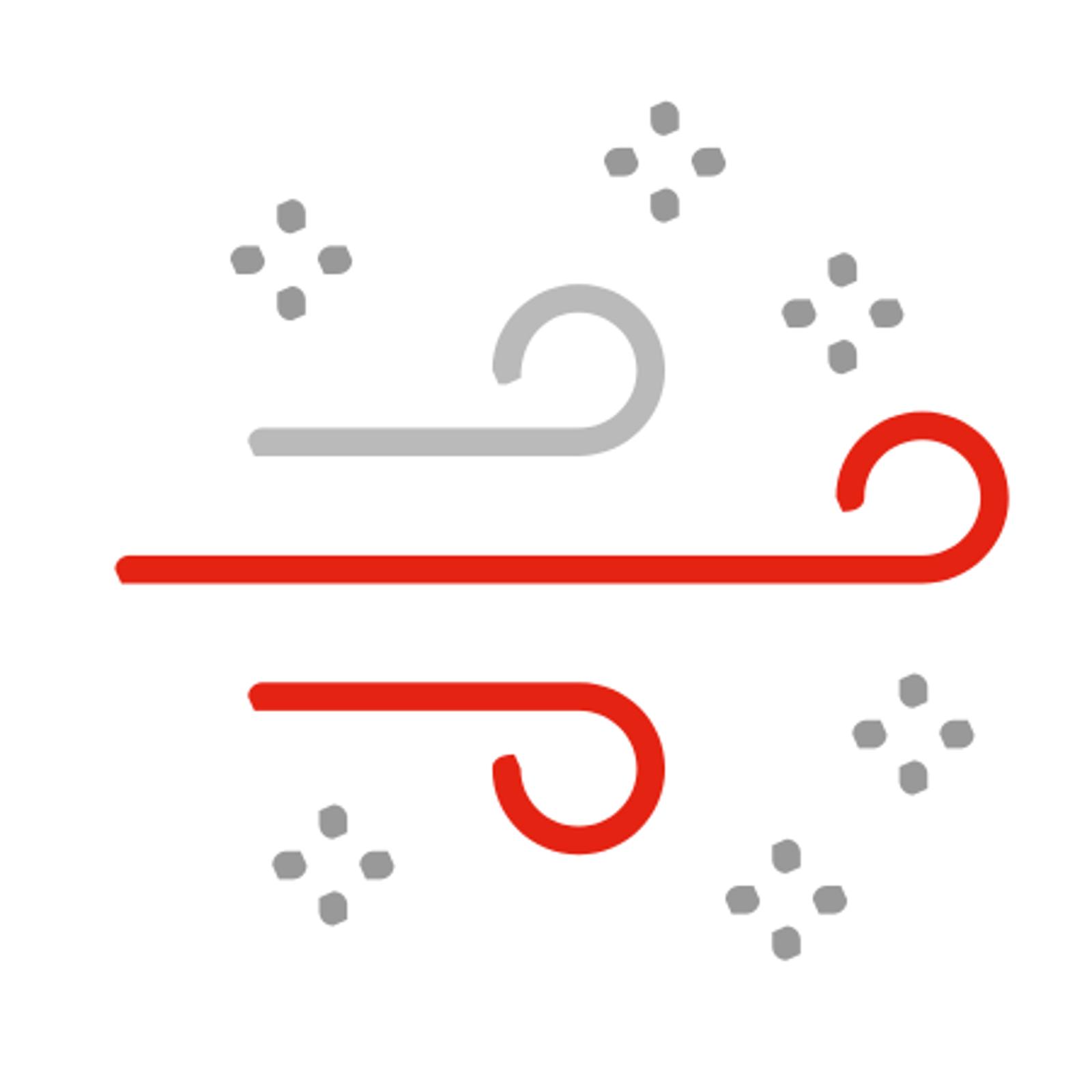 Icon-air-quality-standards
