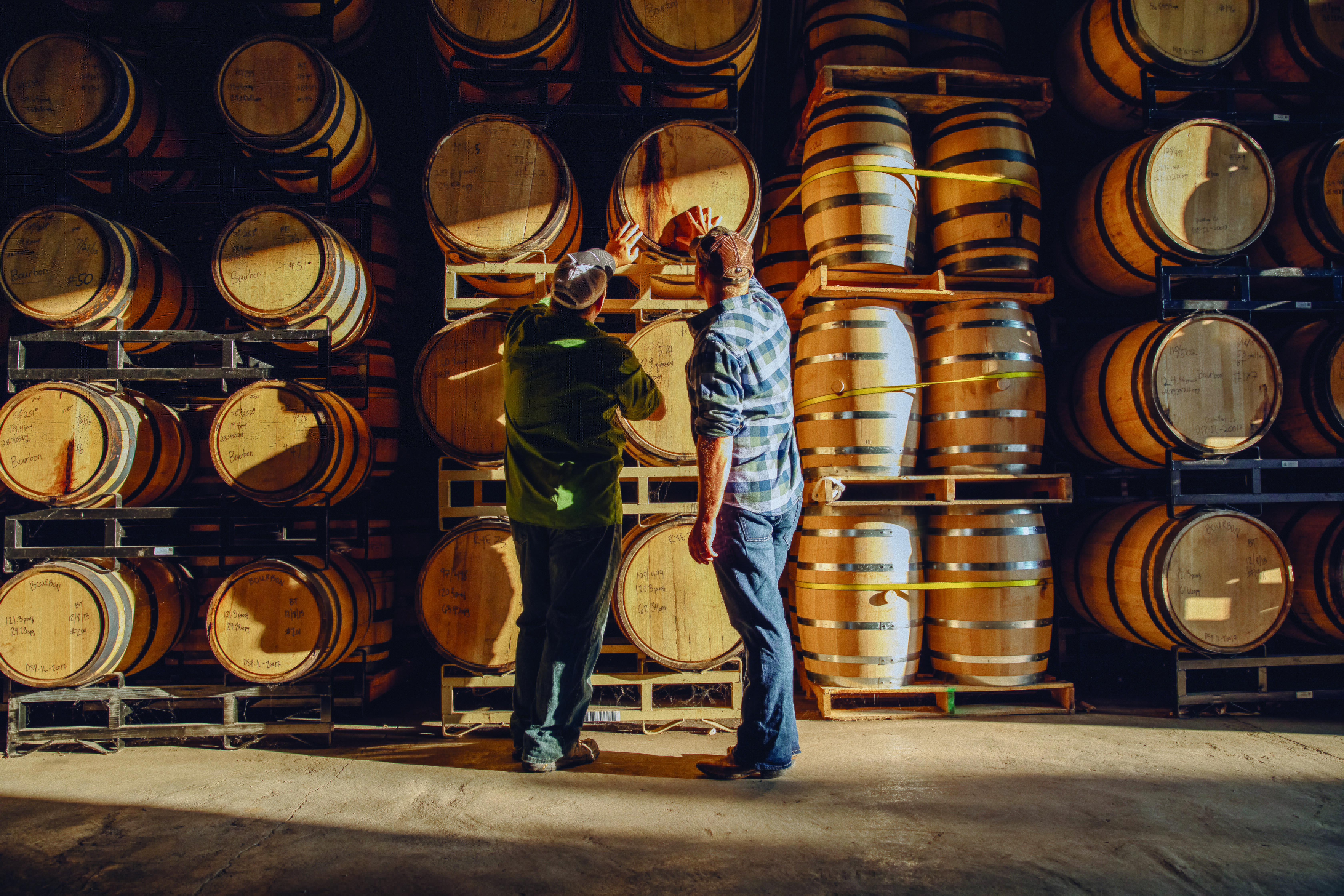 Craft brewing industry barrel storage stock photo