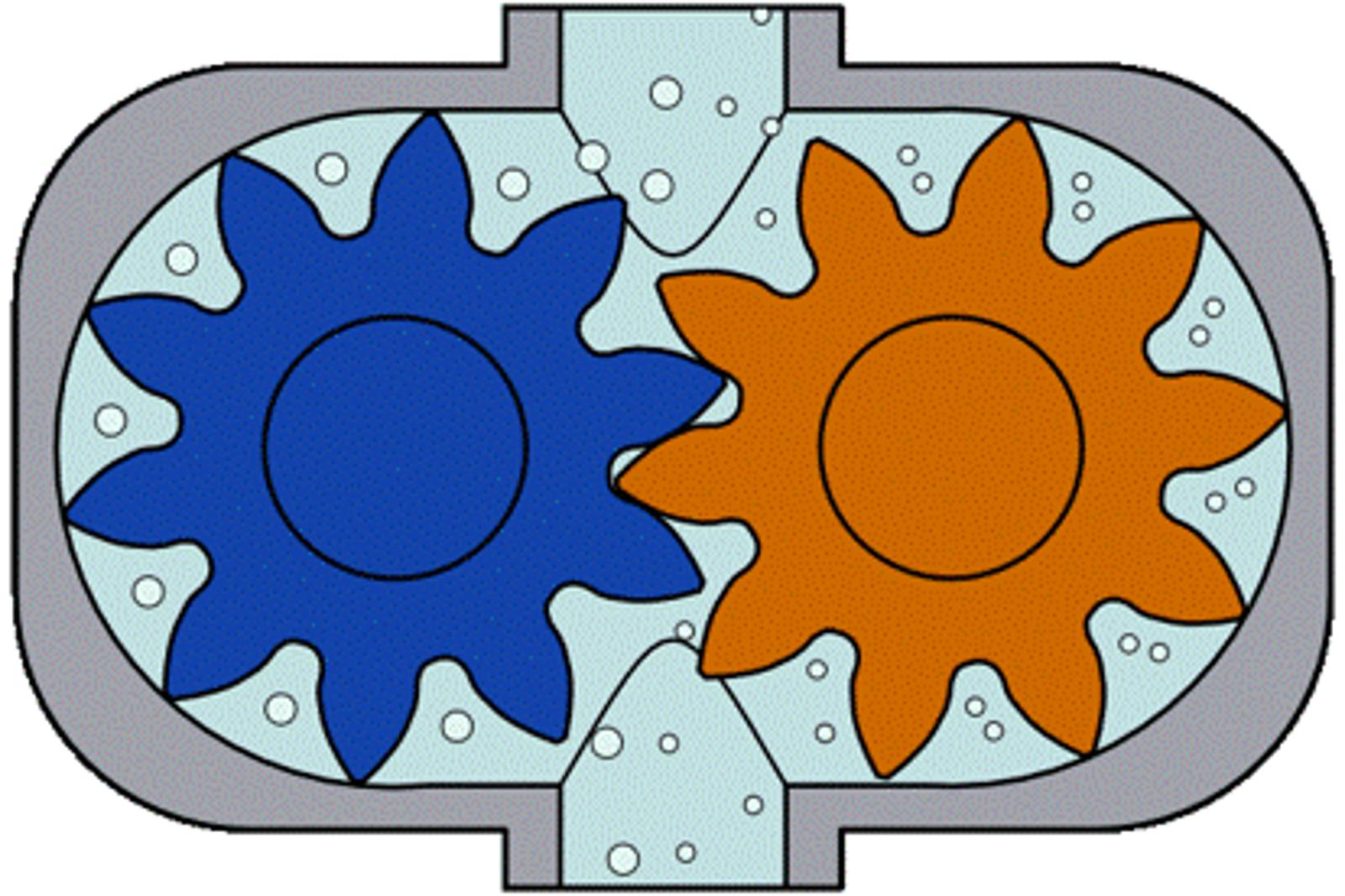 External Gear Action View