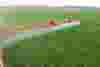 Agriculture