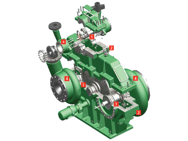 MSG-Cross-sectional View image
