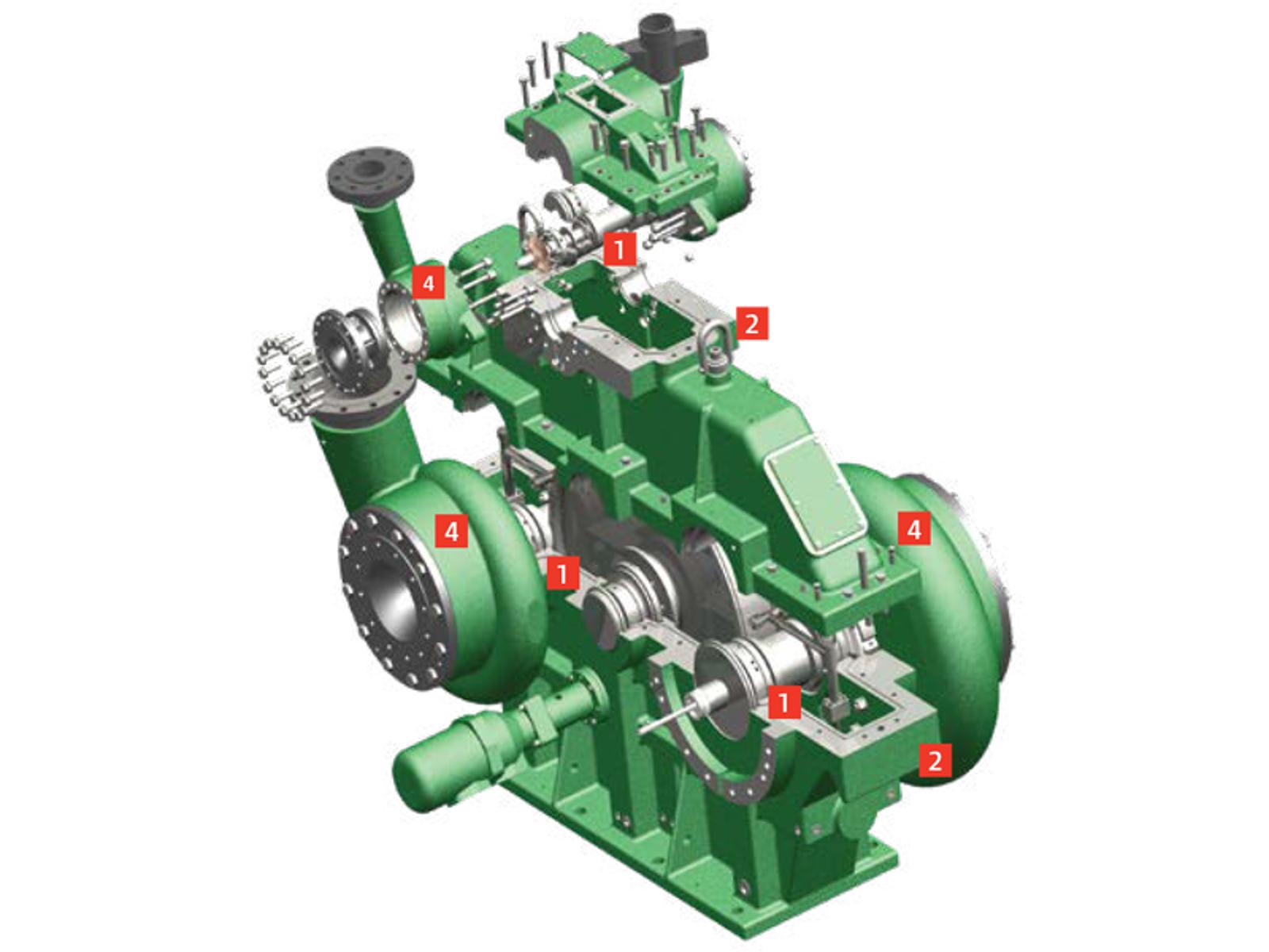 MSG-Cross-sectional View image