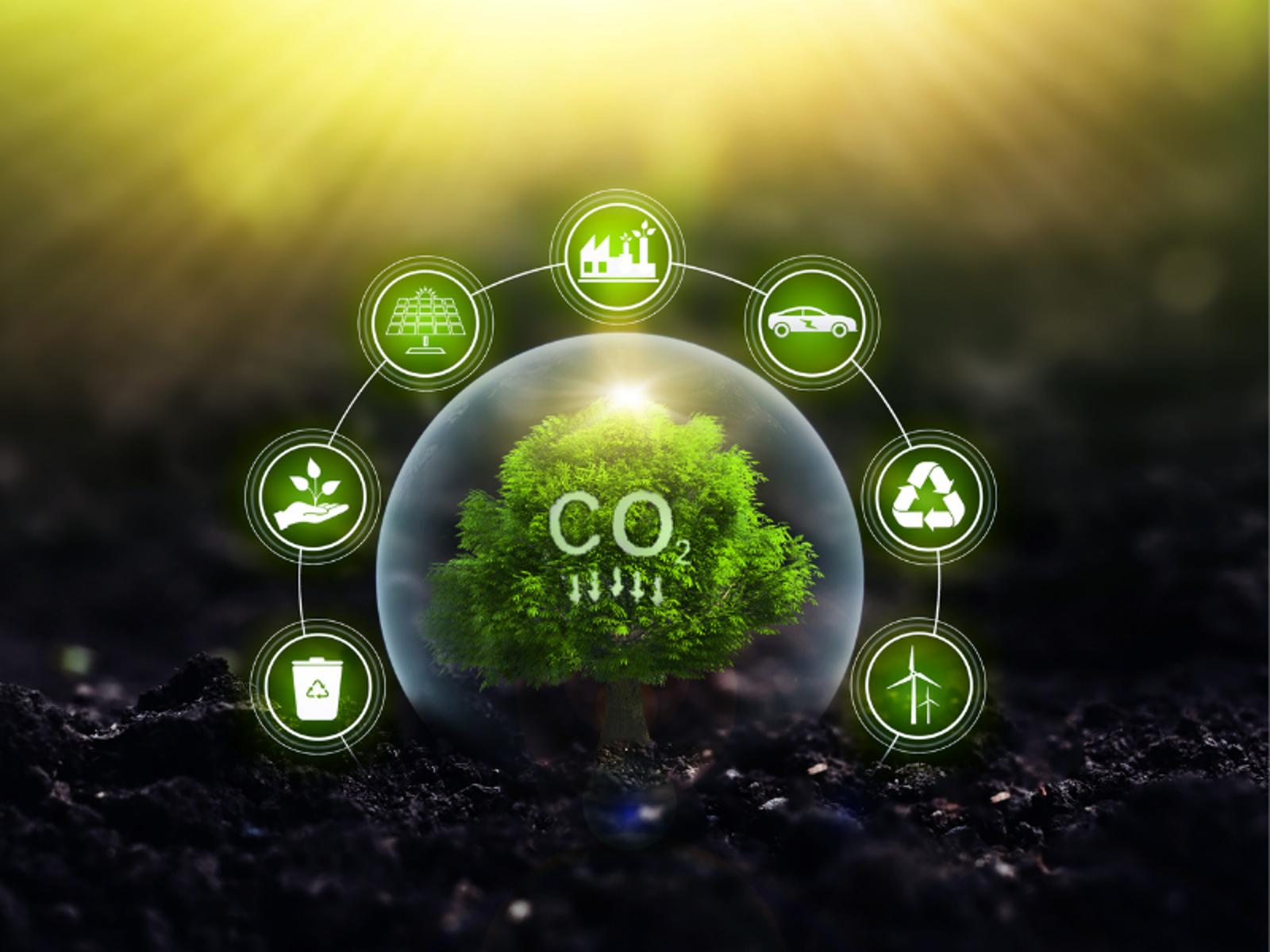 Carbon Capture