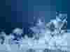 IRP-En--Photo-Don't-Wait-Until-It's-Too-Late-Winterize-Your-Air-Compressor.png