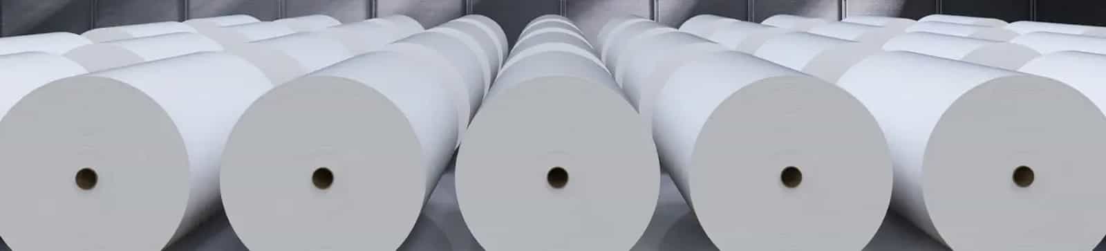 Pulp and Paper Industry
