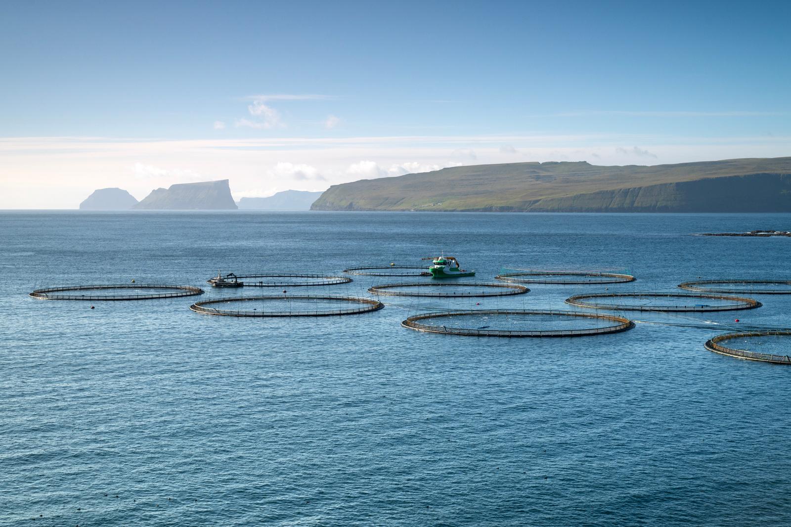 IRP-Industry-Photo-Seawater.jpg