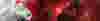 IRP-Service-Banner-about-us.webp
