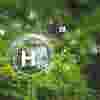 IRP-ETO-Hydrogen teaser.webp
